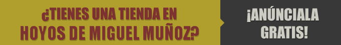 Tiendas en Hoyos de Miguel Muñoz
